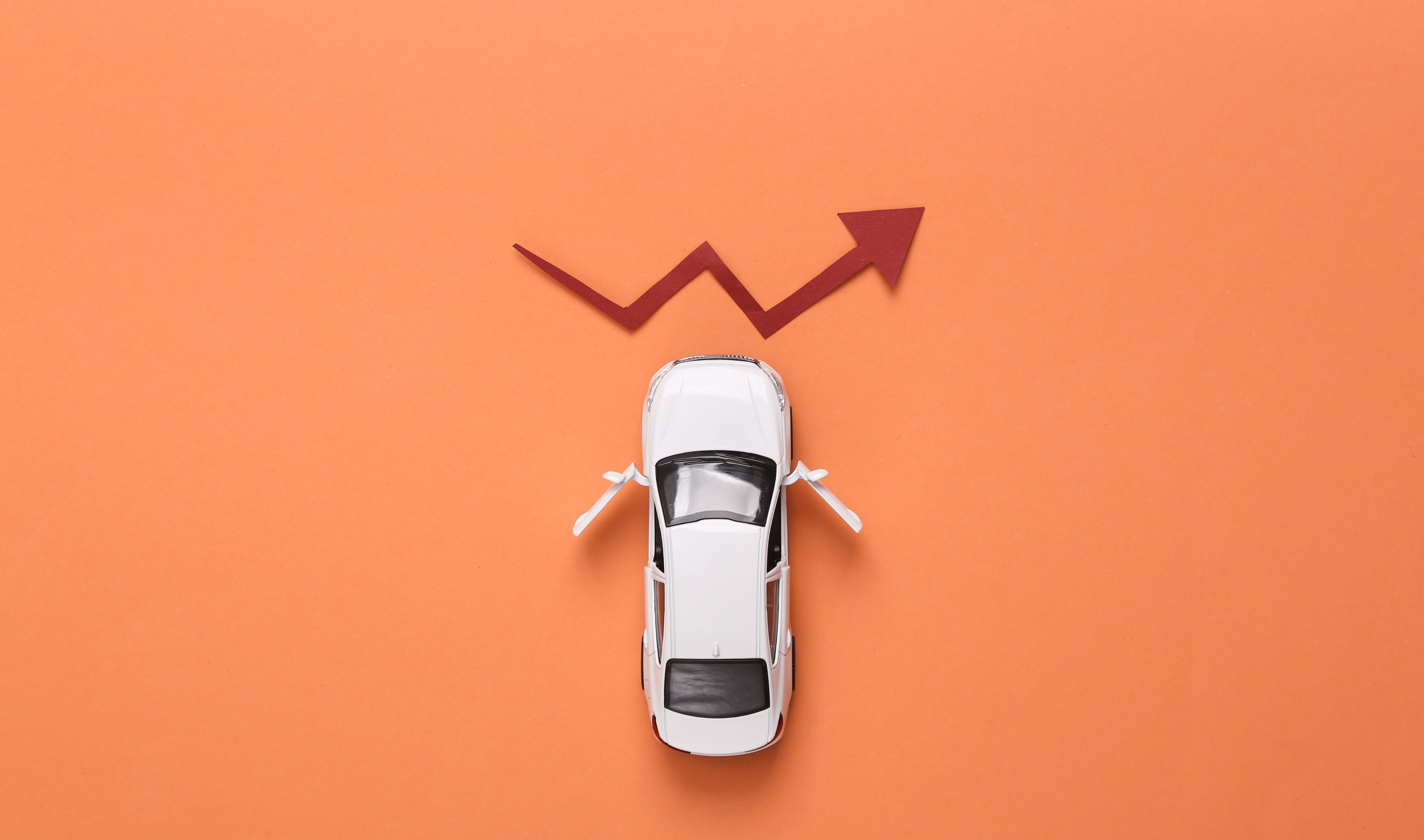 Noleggio lungo termine TEMMATE